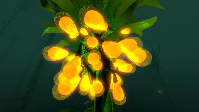 File:Creepvine (2).jpg