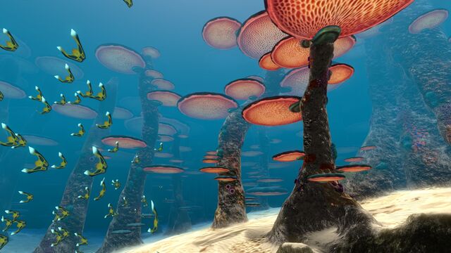 File:Mushroom Forest (9).jpg