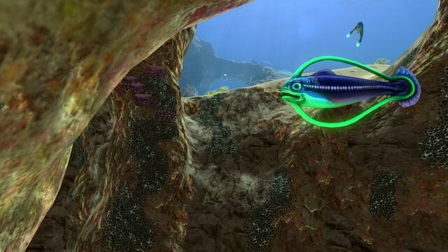 Файл:Hoopfish-02.jpg