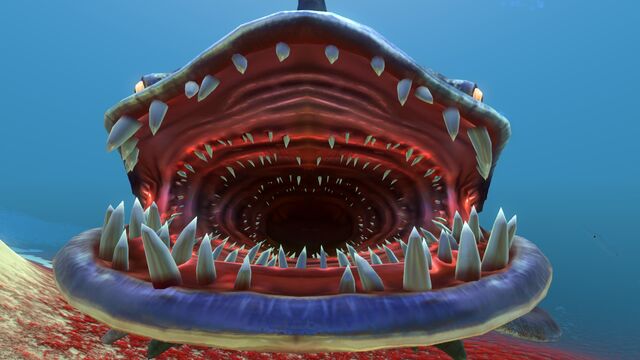 File:Sand Shark (8).jpg