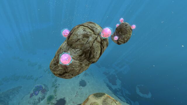 File:Floaters.jpg