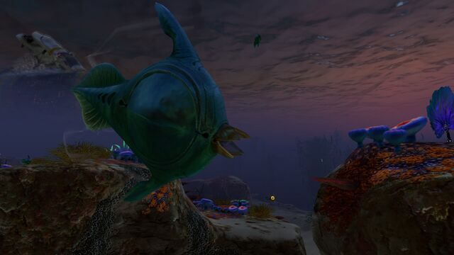 File:Peeper (13).jpg