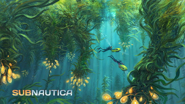 File:KelpForestSmall-1024x565.jpg