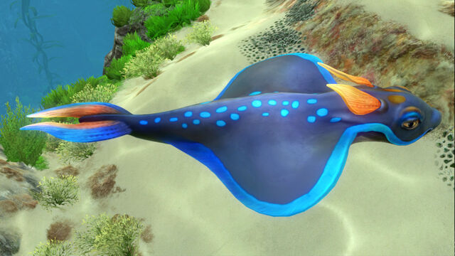File:Rabbitray (1).jpg