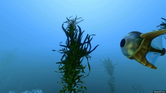File:Eyeye.gif