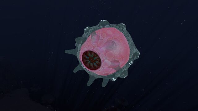 File:Floater.jpg