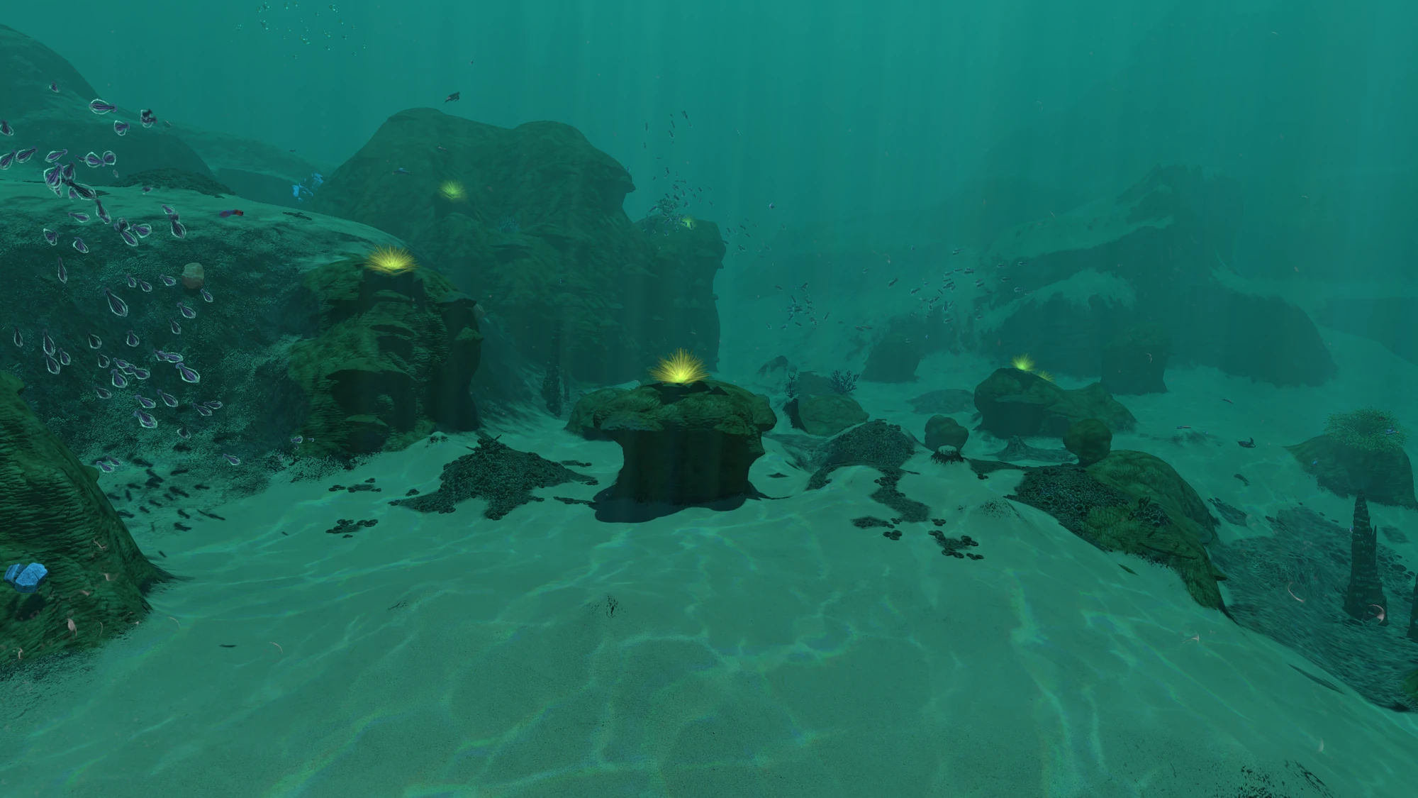 Sparse Reef Subnautica Wiki FANDOM powered by Wikia