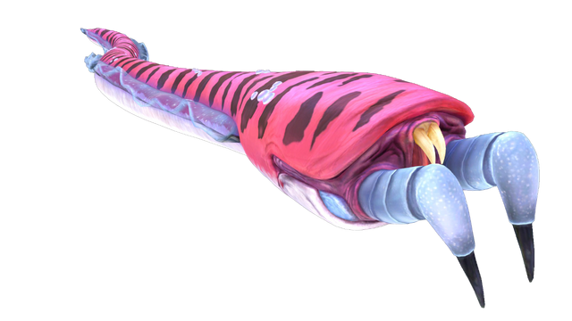 Plik:IMG 4939.png
