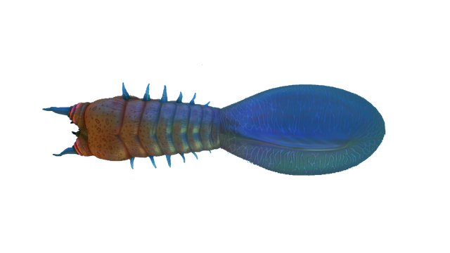 Файл:Bleeder Fauna.png