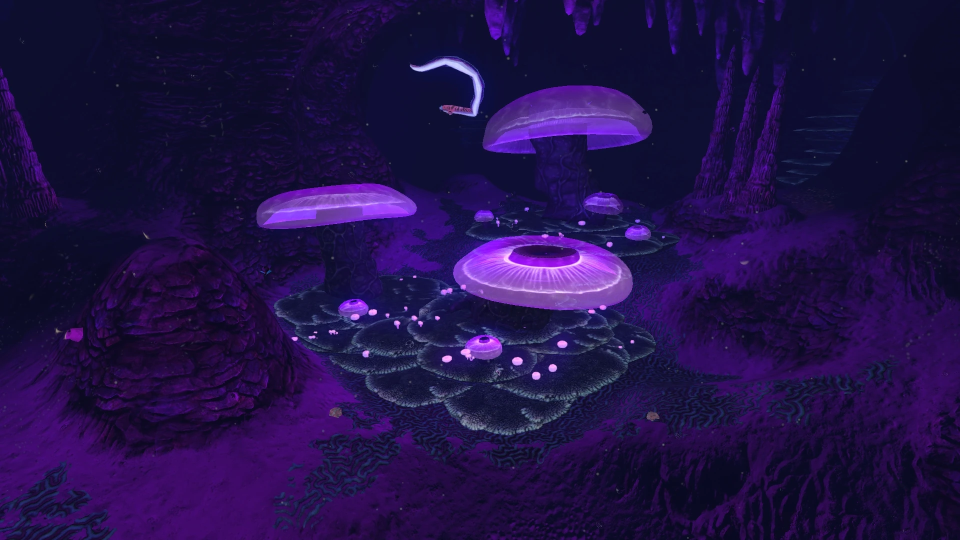 Пещера медузных. Jellyshroom subnautica. База дегази в subnautica. Субнаутика медузные грибы. Subnautica карта дегази.