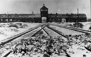 Auschwitz1945.jpg