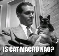 Iscatmacronao