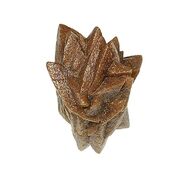 Gennoishi Gemstone