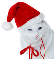 Thumbnail for version as of 13:51, December 16, 2013