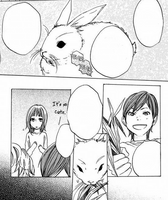 Misa feeding the rabbit strange grass