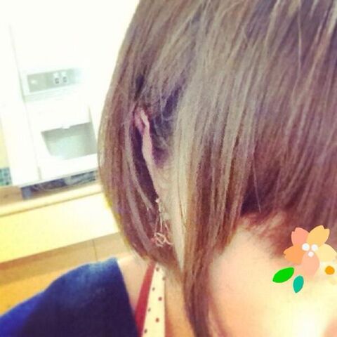 File:Hairs.jpg