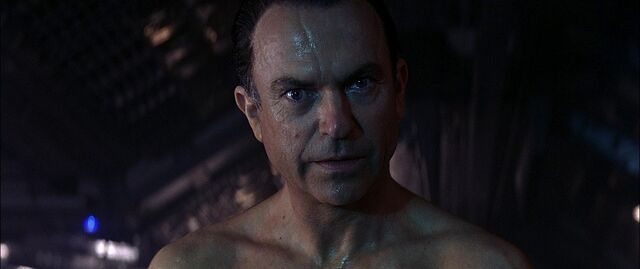 File:Weir-jpg.jpg