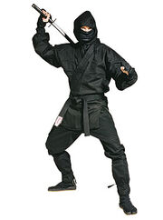 10 ninja