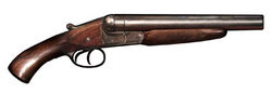 Double-barreled-shotgun