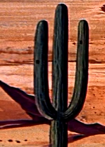 Cactus