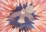 Walking Eagle3