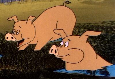 Pig