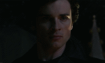 Vision de calor.gif