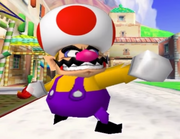 WarioToadSwag