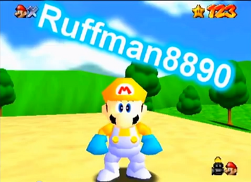Ruffman8890