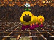 Wiggler