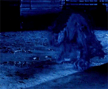 HellHound.gif