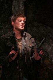 26-blackrose.jpg
