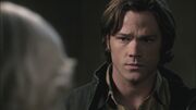 SPN 0469