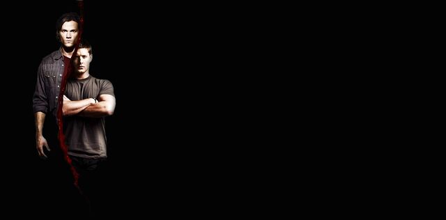 Fichier:Wiki-background offert par Ozann23.jpg