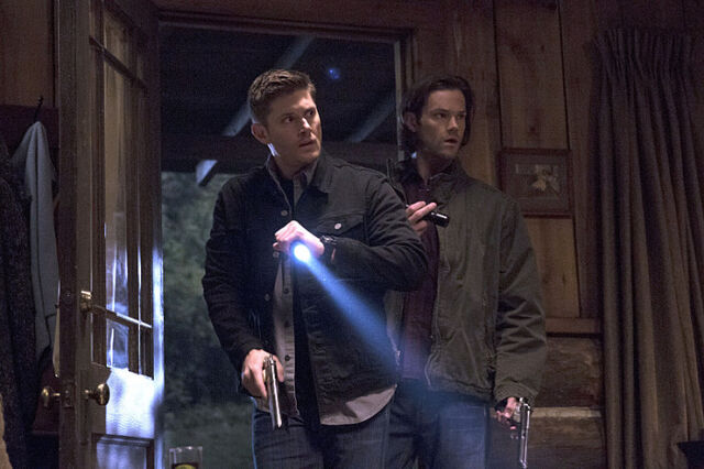 Fichier:Spn 10.04.jpg