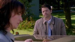Normal spn1001 0863