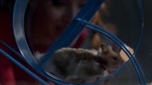 OlivetteHamster
