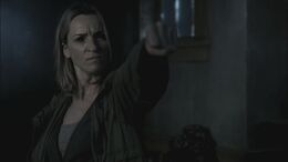 EverCarradine8.jpg