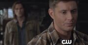 SPN-8x01-clip.jpg
