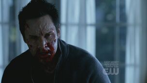 Spn404-1007.jpg