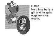Super Mario Bros 2 - Birdo--article image