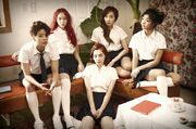 Fx pinktape kpop 650-430