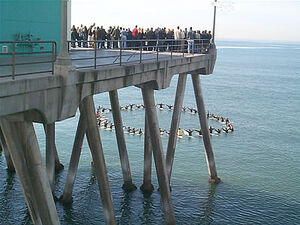 Surfers-memorial-service01