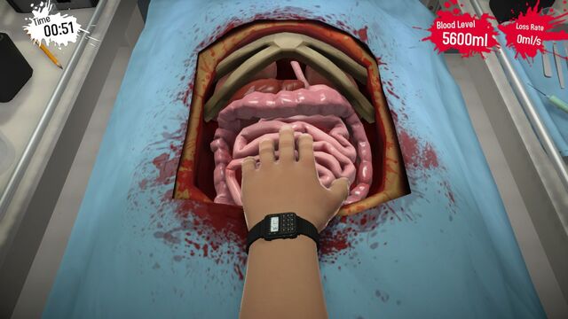 File:Kidney Middle.jpg