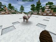 A reindeer