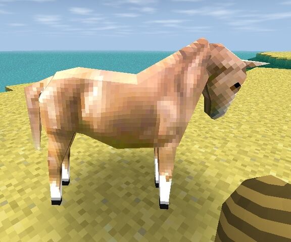 File:Palomino horse.jpg