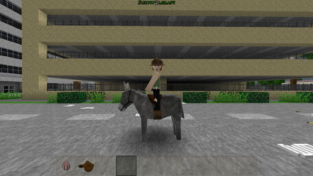 File:Donkey..jpg