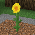 Thumbnail for version as of 01:41, May 28, 2014