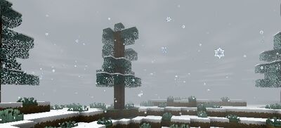 Snowfall