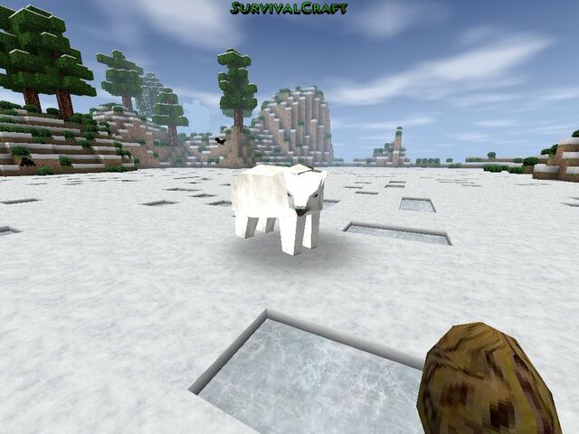 File:A polar bear..jpg